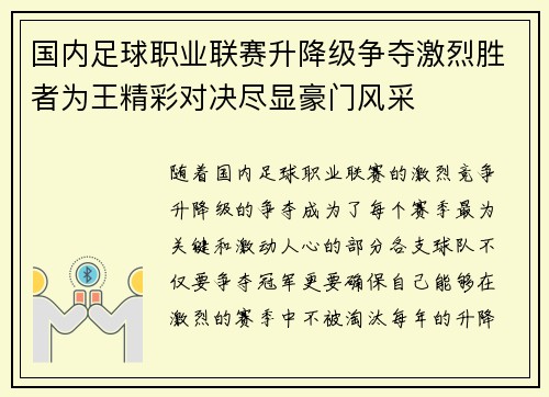 国内足球职业联赛升降级争夺激烈胜者为王精彩对决尽显豪门风采