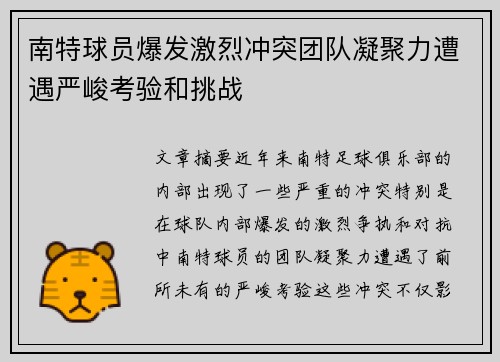 南特球员爆发激烈冲突团队凝聚力遭遇严峻考验和挑战