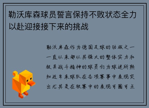 勒沃库森球员誓言保持不败状态全力以赴迎接接下来的挑战